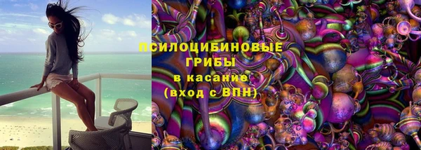 ешки Надым