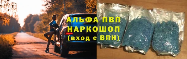 прущие грибы Нея