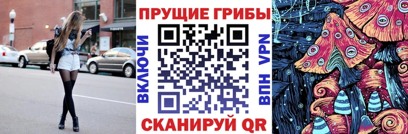 Псилоцибиновые грибы Psilocybine cubensis  купить  цена  Туринск 