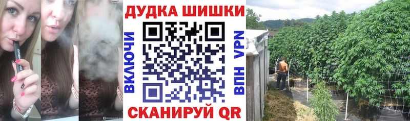 дарнет шоп Туринск Шишки марихуана гибрид